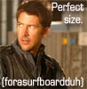 Sheppard. Perfect size. (forasurfboardduh)