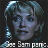 Sam, See Sam panic